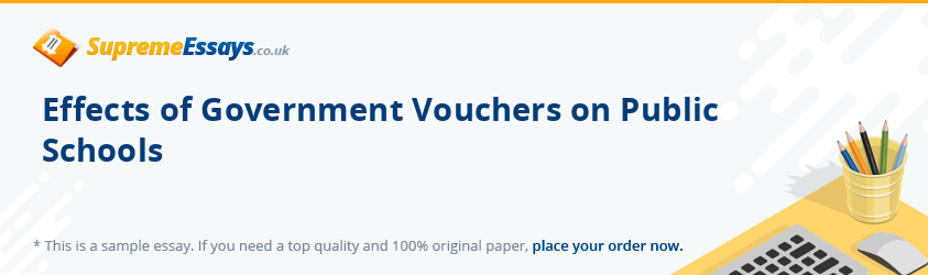 Effects of Government Vouchers on Public Schools 
